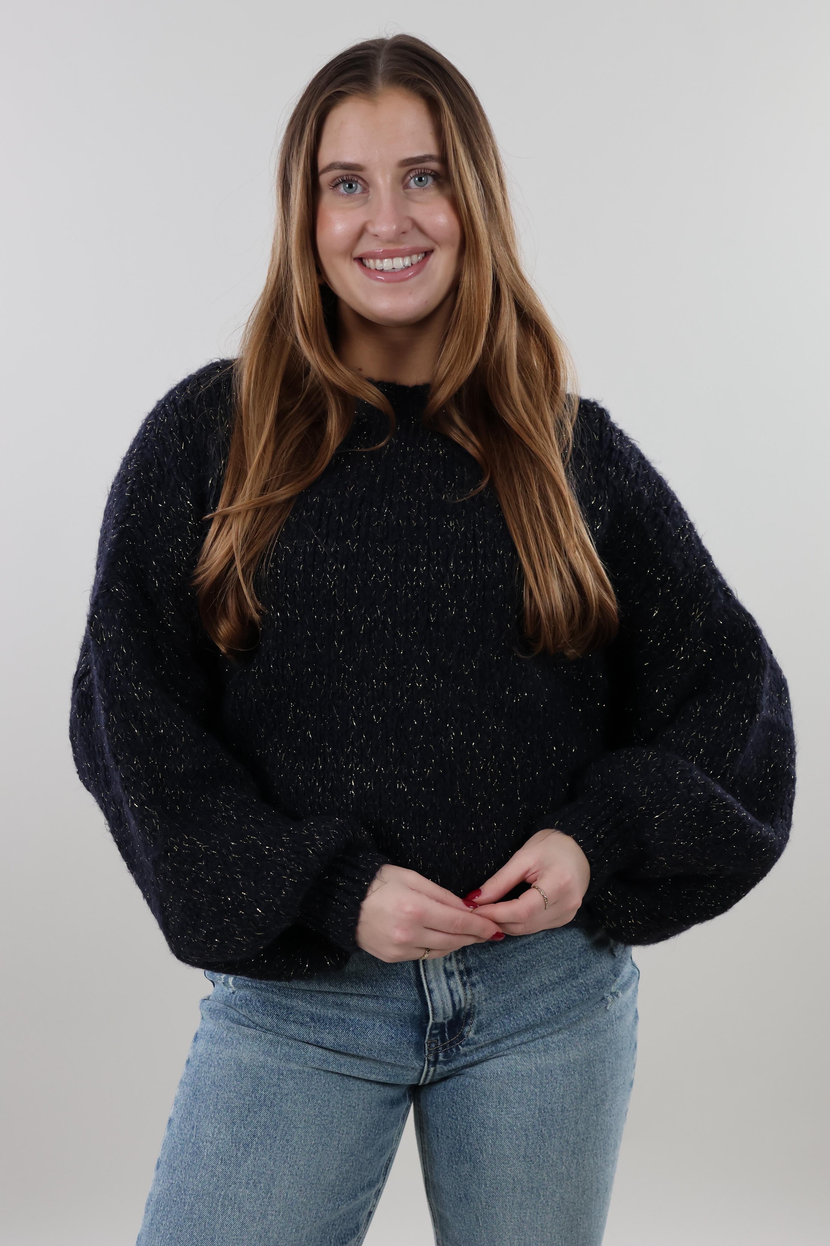 Soft sparkle knit Sweater - Navy