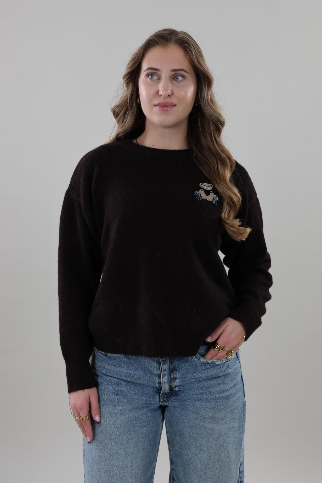 Teddy embroidered knit Sweater