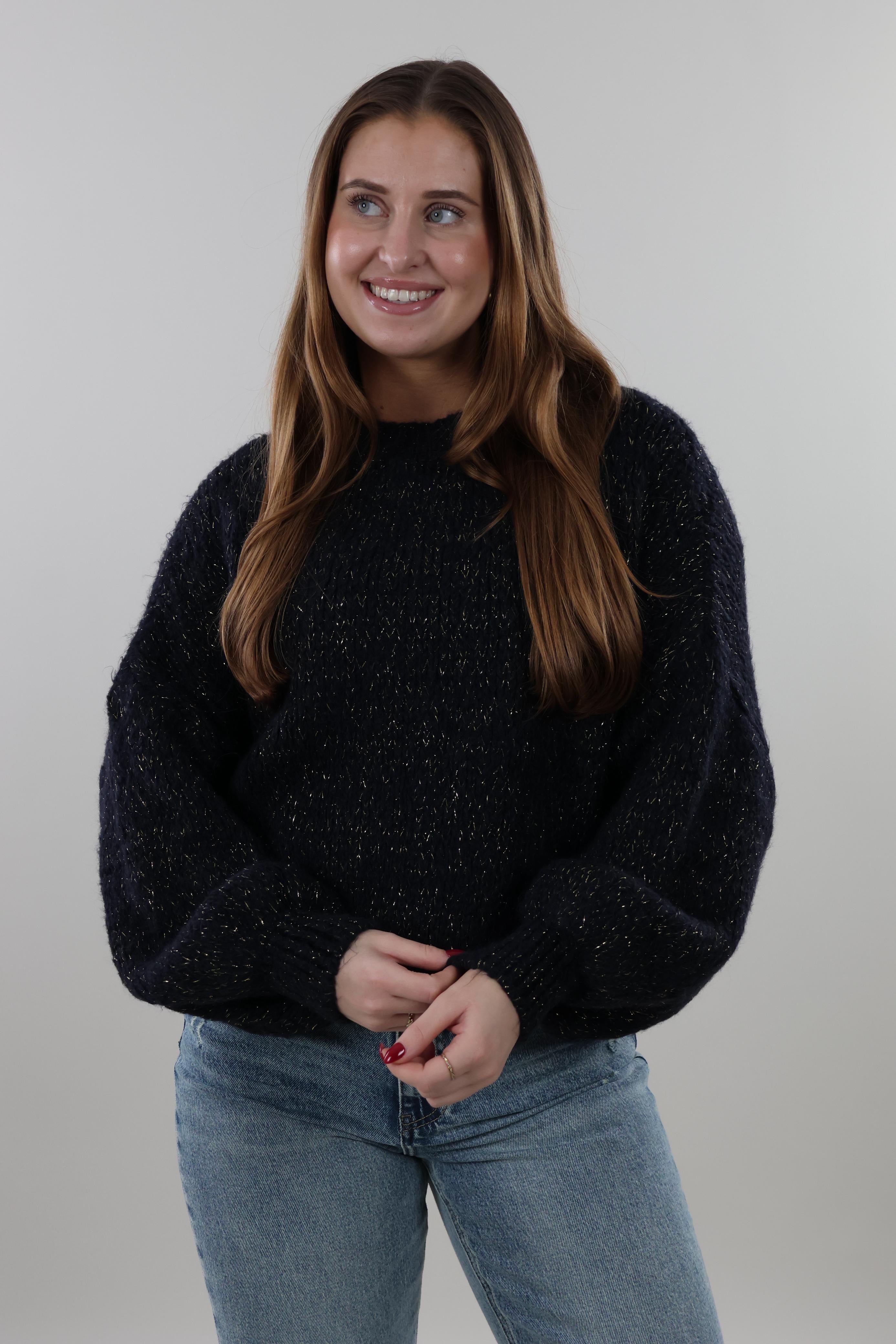 Soft sparkle knit Sweater - Navy