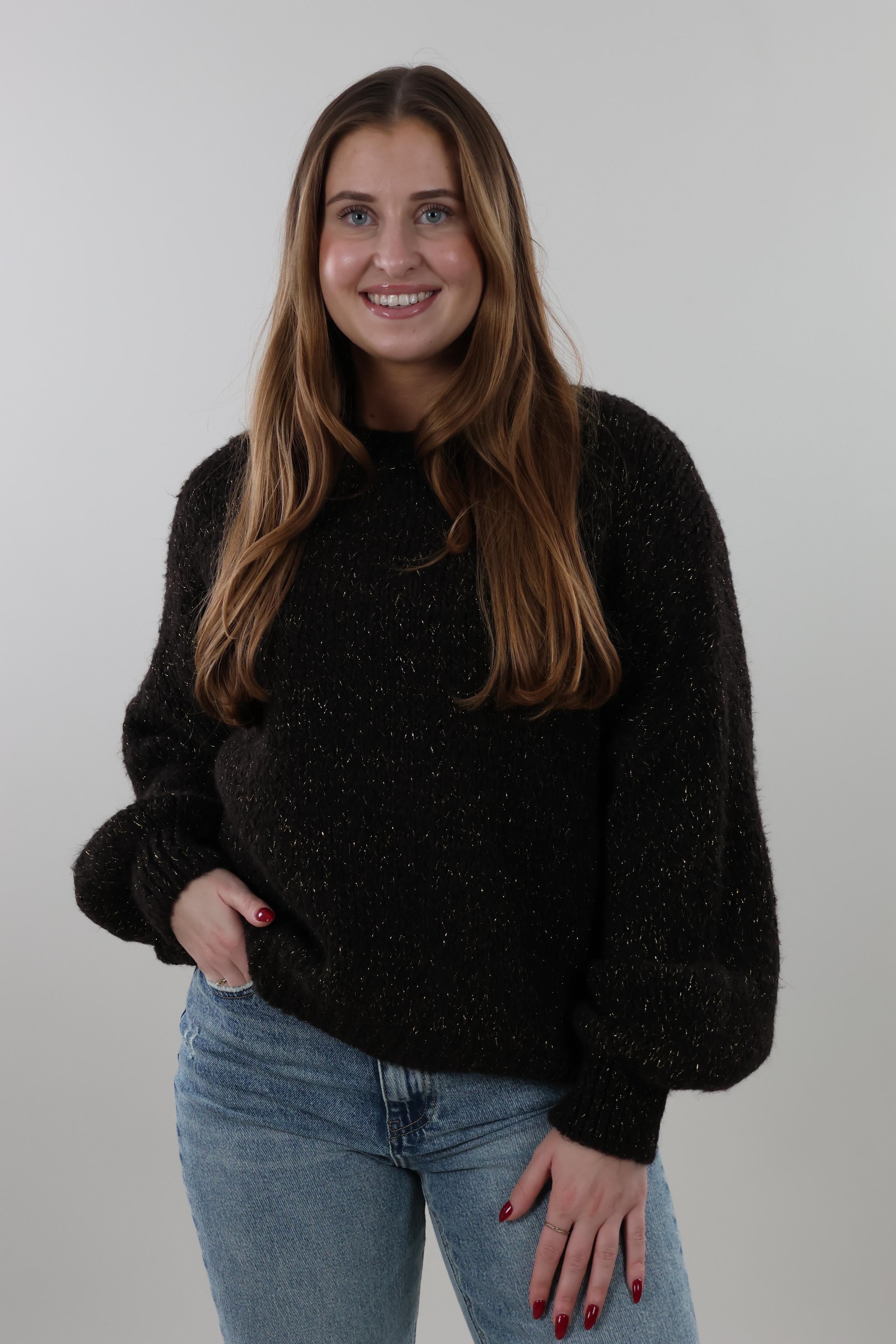 Soft sparkle knit Sweater - Dark brown