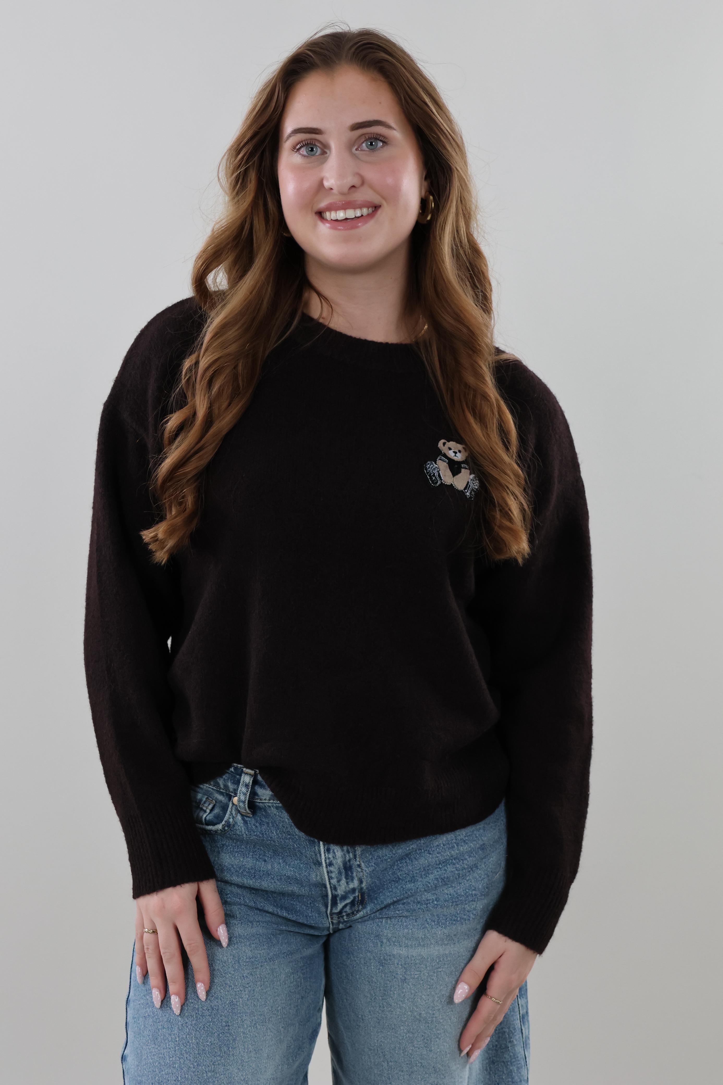 Teddy embroidered knit Sweater