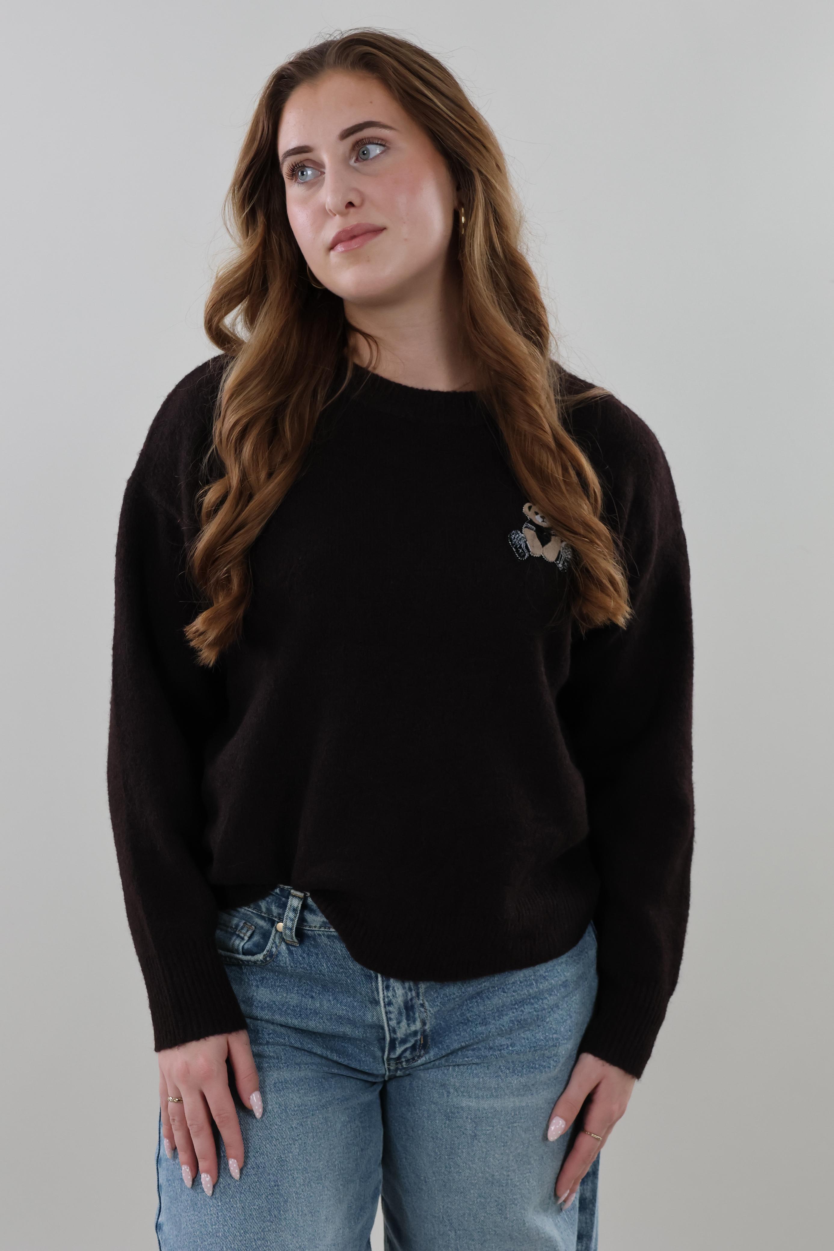 Teddy embroidered knit Sweater