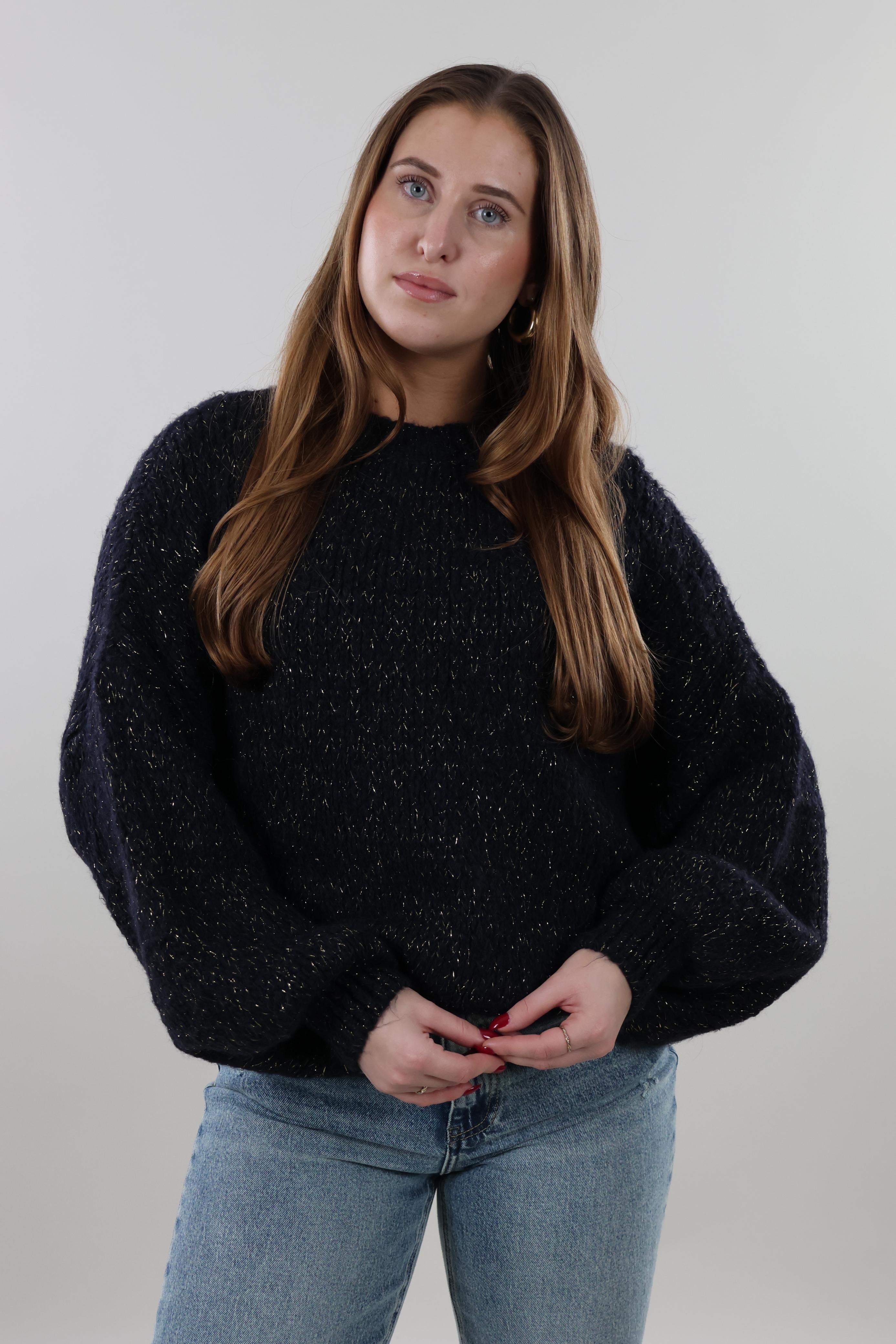 Soft sparkle knit Sweater - Navy